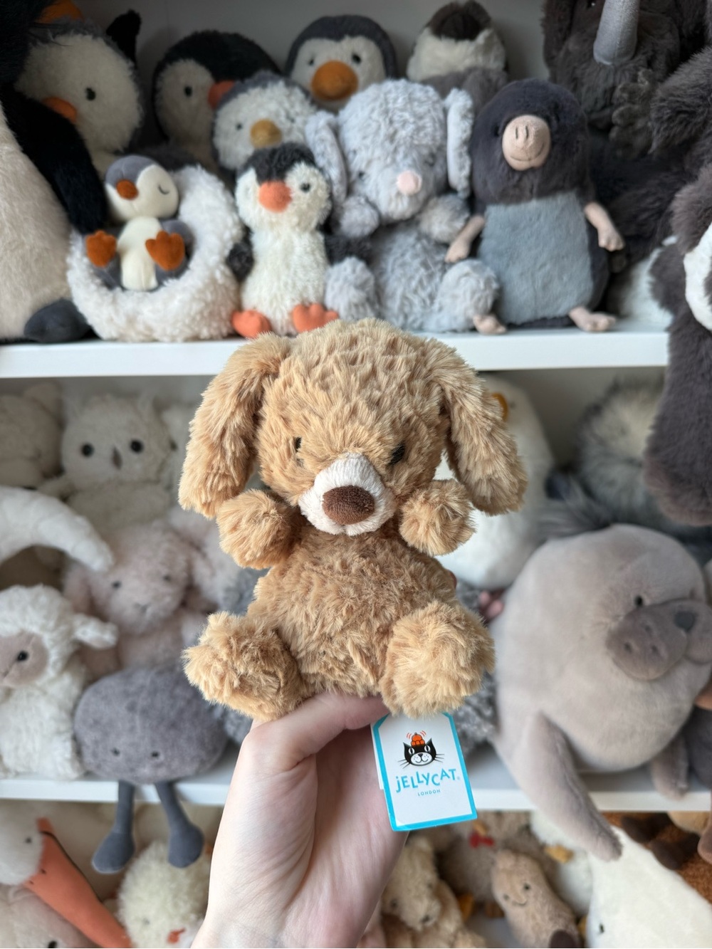 NWT Jellycat Yummy Puppy